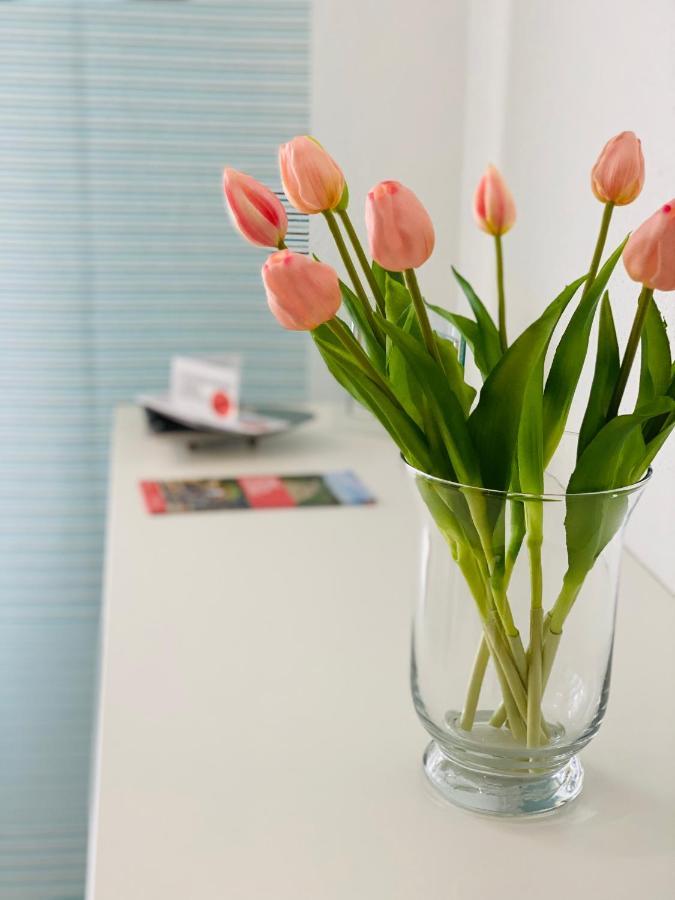 Ferienwohnung Familie Seuferle Schweigen-Rechtenbach Eksteriør billede